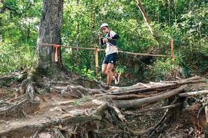 BIB: 
                            <button type="button" onclick="openModal(27555215)" class="btn btn-primary btn-sm float-right btn-popup" data-toggle="modal" data-target=".modal-high-quality">
                        <i class="fas fa-shopping-cart"></i> Add to Cart
                    </button>
                                            <button type="button" onclick="isThisMe(27555215, true)" class="btn btn-success btn-sm float-right btn-popup btn-isme hidden" data-toggle="tooltip" data-placement="bottom" title="นี่คือรูปของคุณใช่ไหม คลิกที่นี่เพื่อเอาเข้าอัลบั้ม">
                        <i class="fas fa-plus"></i> Add to album
                    </button>
                    <button type="button" onclick="isThisMe(27555215, false)" class="btn btn-warning btn-sm float-right btn-popup btn-isnotme hidden">
                        <i class="fas fa-ban"></i> Remove from album
                    </button>